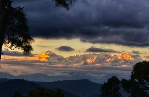Almora House | Baithak, Kasar Devi - Stay and Café