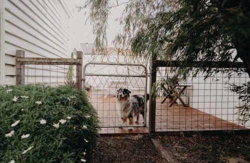 Middleton Beach House | Balnagown