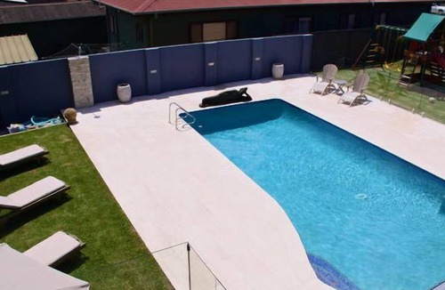 Warilla House | BEACHSIDE BLISS- Warilla