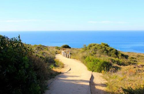 Jan Juc House | Bells Beach Pro Base - Short Walk -Shops & Beach