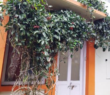 Ooty Bed & Breakfast | Bethany stay