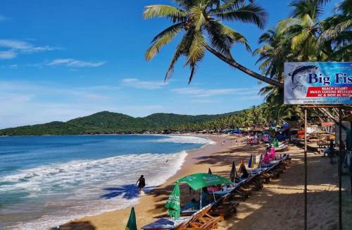 Palolem Other | Big Fish