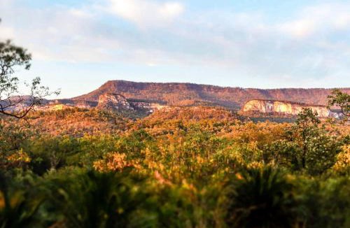 Rewan Other | BIG4 Carnarvon Gorge Holiday Park