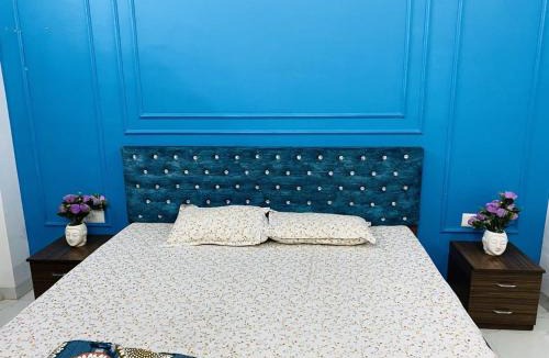 Indore Apartment | Blu Berry
