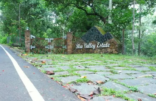 Yercaud Villa | Blue Valley Estate-12 Acre Forest-Silver Oak-Villa