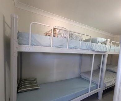 Ashcroft Hostel | Bluetongue Hideout