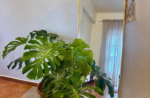 Benaulim Apartment | Bohame - Boho Poolside 1BHK, 2-Min Walk to Benaulim Beach