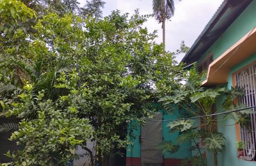 Khattalwada Hostel | Bora Rent House