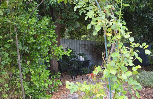 Bendigo House | Bridge Haven - A modern, bright and beautifully-appointed home!