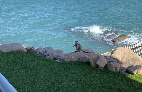 Nelly Bay Apartment | Bright Point Double Absolute