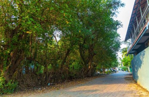 Kottakuppam House | BrightMoon Homestay