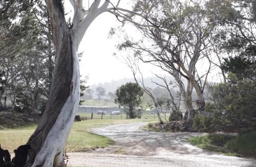 Jindabyne House | Brumbies Run Touchdown Cottages
