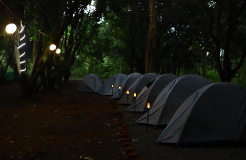 Vangani Other | BSS Adventure