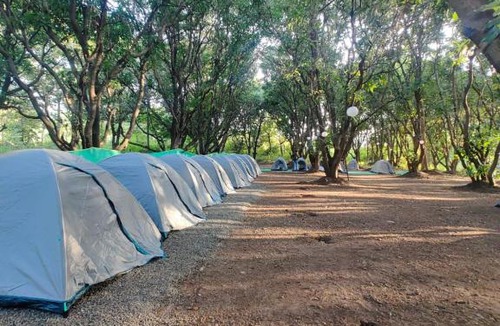 Vangani Other | BSS Adventure