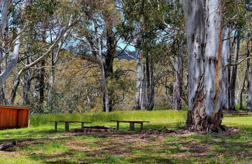 Adaminaby House | Cabin 4 - Snowy Accommodation