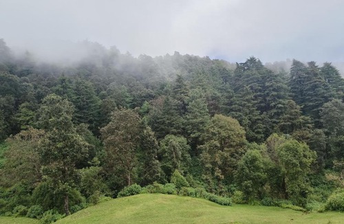 Bullawala Other | Camp George Everest