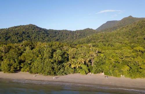 Cape Tribulation Resort | Cape Trib Beach House