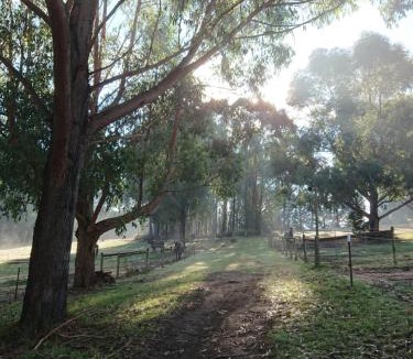 Gembrook House | Carinya Park