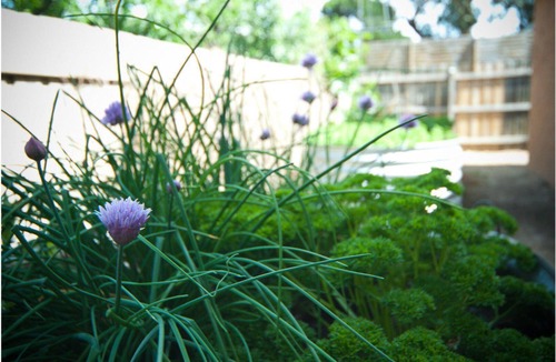 Flinders Apartment | Casa Tonini - Great base to explore Flinders & Mornington Peninsula