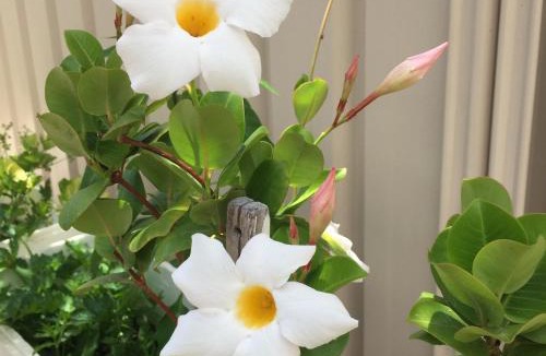 Beechboro Bed & Breakfast | Caversham B&B