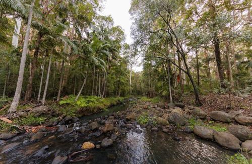 North Tamborine House | Cedar Creek Falls by Tiny Away