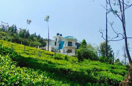 Kotagiri Other | Celestial Villa