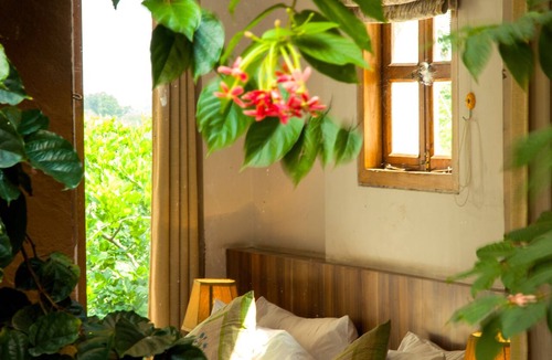Village Hokra Hotel | Chitvan