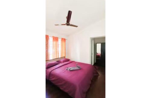 Masinagudi Villa | Cloud 9- Heaven on earth