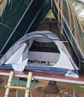 Devgad Other | Coco Palm Eco Resort