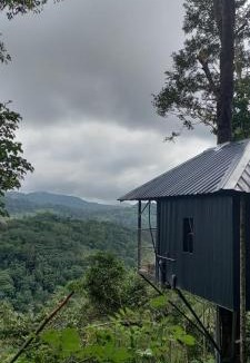 Udumbanchola Villa | Coffee Camp Home Stay with Tree house