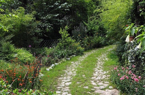 Shyamkhet Resort | Come experience what is reputed to be the best luxury retreat in the Himalayas!