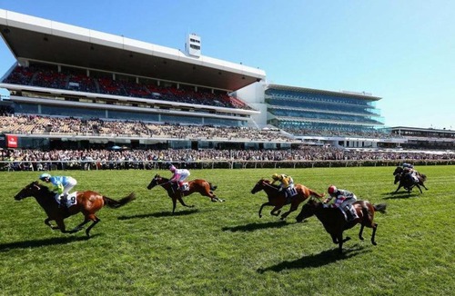 Kensington Apartment | Comfy 2BR Suite Near Flemington Races, FREE Parking