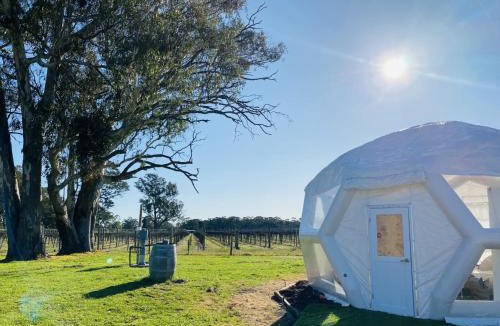 Comaum Other | Coonawarra Hampton Bubble 2
