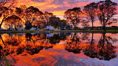 Comaum Other | Coonawarra Hampton Bubble 2