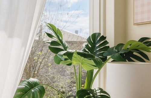 Saint Kilda South Condo | Cosy Designer Studio - Heart of St Kilda + Parking