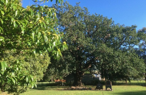 Emu Vale House | country school