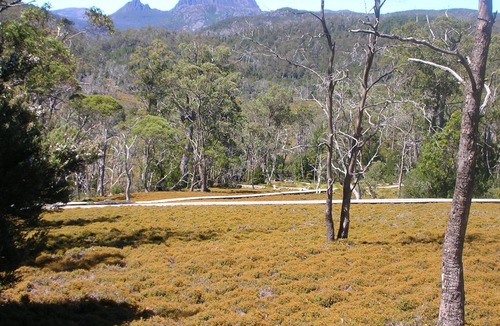 Cradle Mountain House | Cradle Cave Cradle Mountain