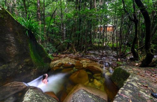 Diwan House | Daintree Cascades