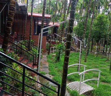 Supa House | Dandeli palm tree cottages