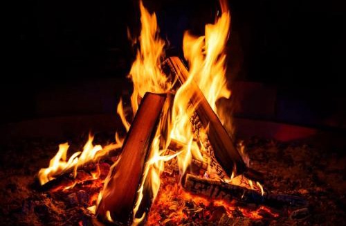 Dandeli Other | Dandeli Wild Inn