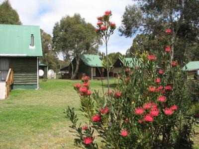 Derwent Bridge Cabin | Derwent Bridge Chalets & Studios