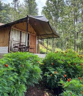 Devikolam Other | Deshadan Jungle