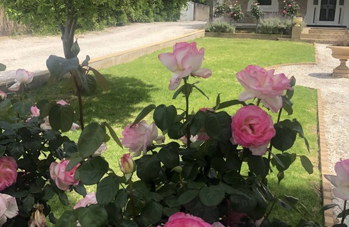 Angaston Cottage | Devitt on French is a quiet, romantic stone cottage in Angaston, Barossa Valley