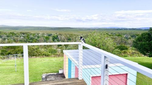 Angourie House | Dilkara