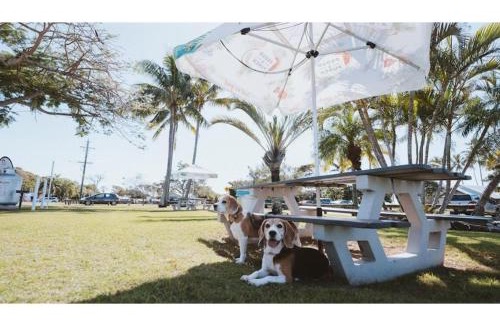 Bargara Other | Discovery Parks - Bargara