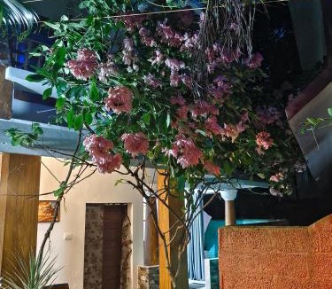 Kovalam Hotel | Dver Prirody