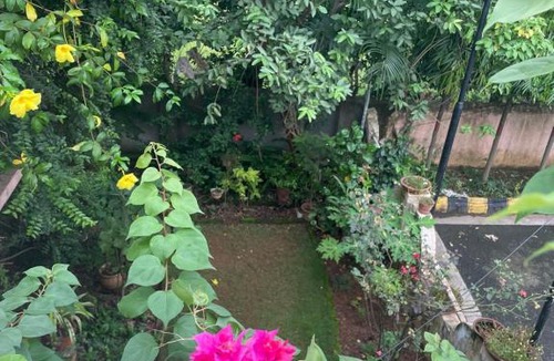 Jamshedpur House | EG20 Ashiana Woodlands
