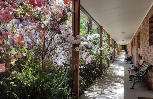Eildon Hotel | Eildon Parkview Motor Inn. Room 5