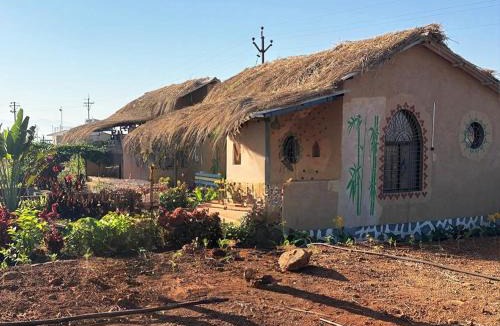 Kadadhe Other | EL ROHE Farms