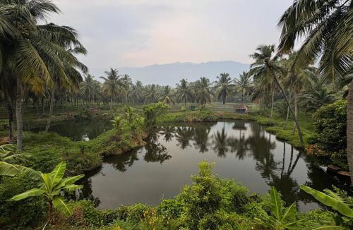 Chittur House | Evergreen Homestay